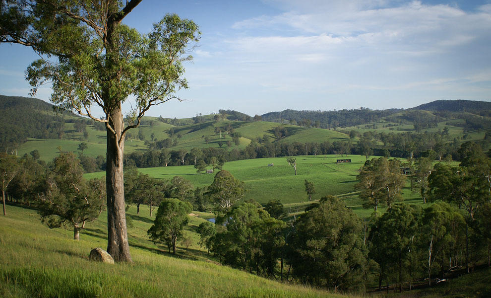 Riverwood Downs Of Barrington Tops Monkerai Kültér fotó